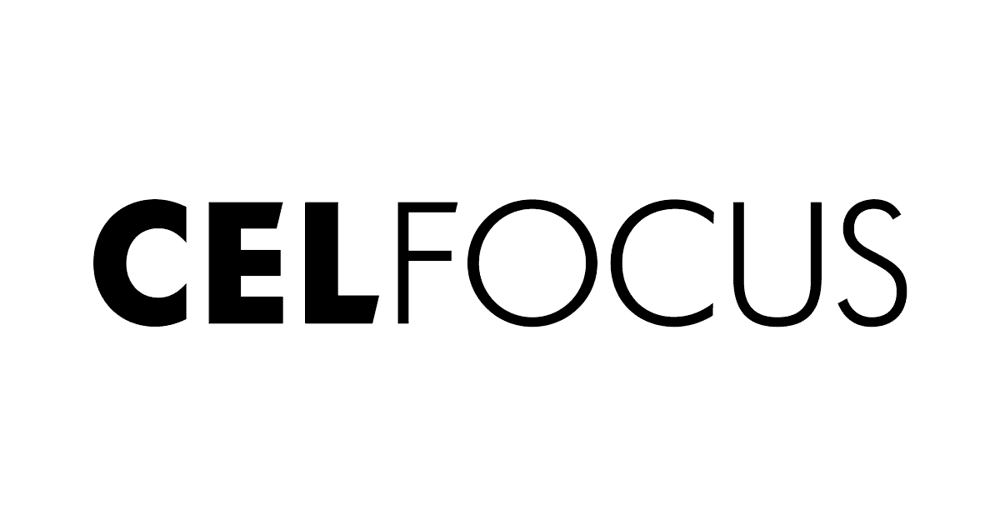 Celfocus  — Senior Software Engineer — Frontend